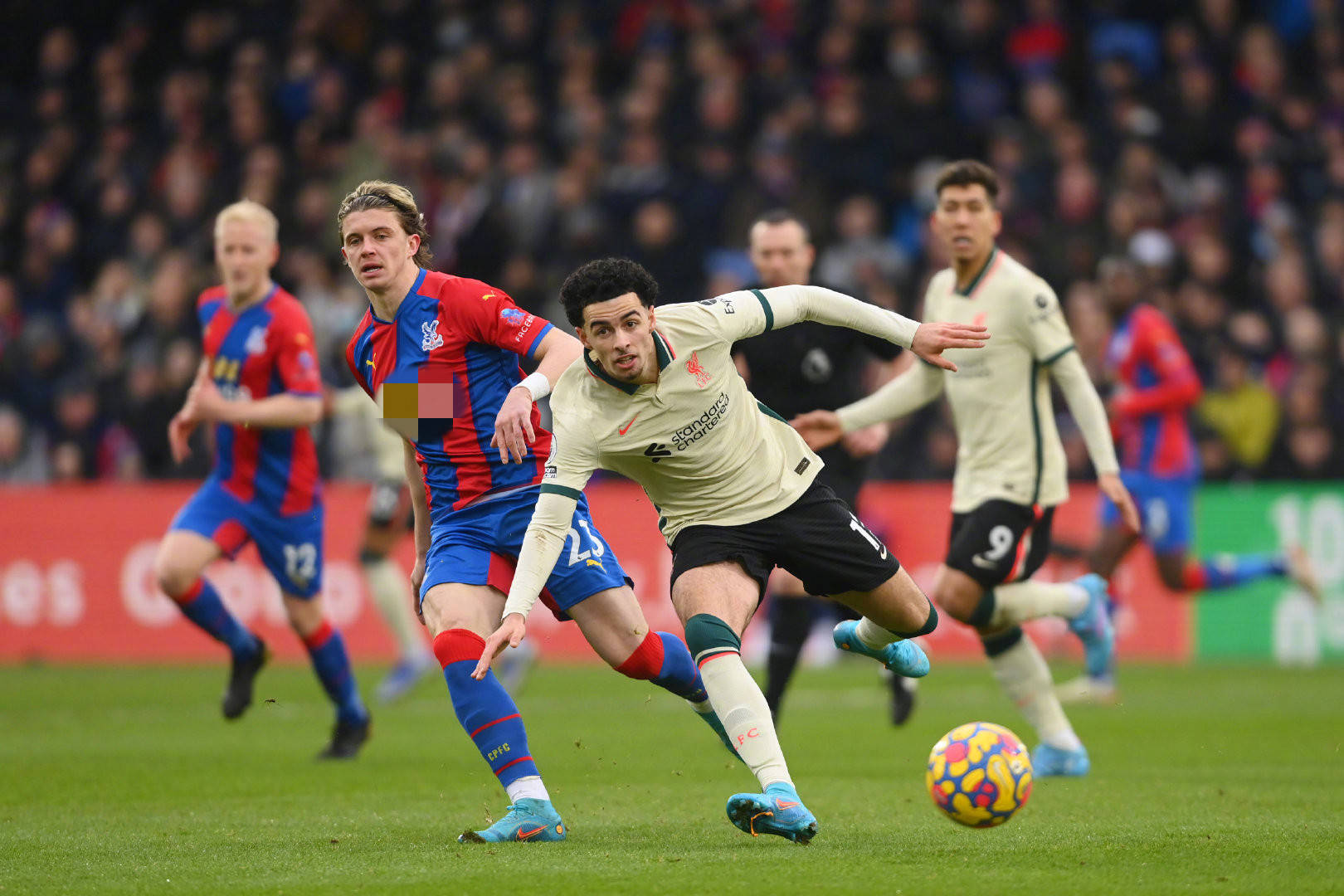 他逐渐适应 他逐渐适应